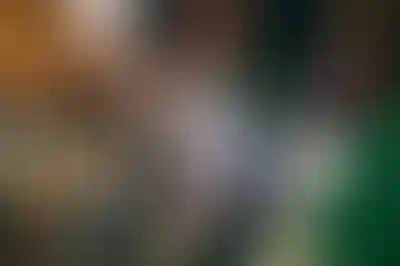 Изображение блока о клубе